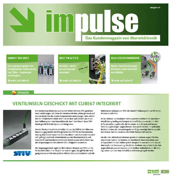 Revista Mur Electrònic